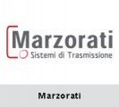 意大利Marzorati減速機
