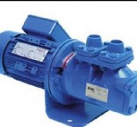 美國Zenith Pumps泵