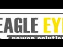 美國Eagle Eye電池測試儀
